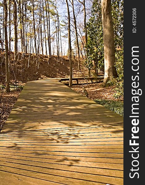 A wooden plank walkway through the woods in a park. A wooden plank walkway through the woods in a park