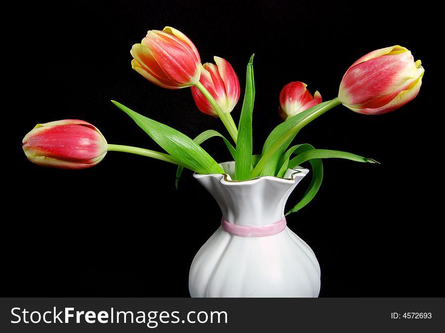 Spring tulips in an old vase on a black background. Spring tulips in an old vase on a black background.