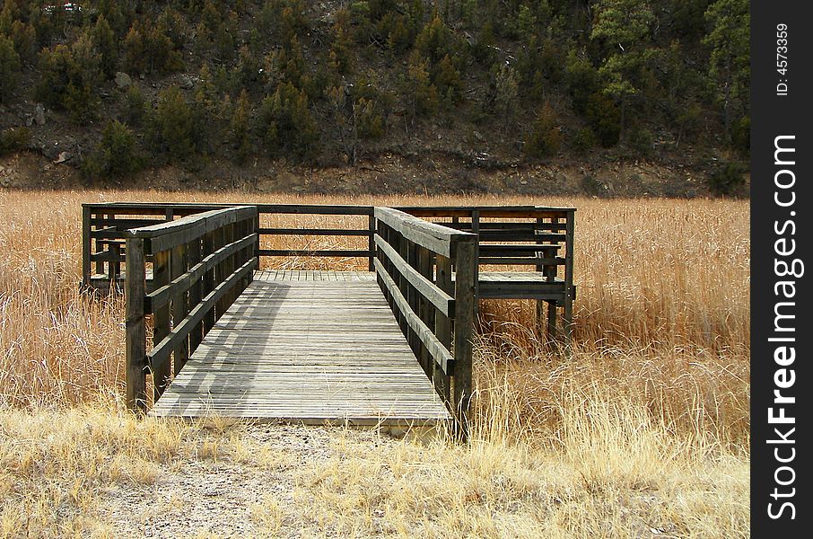 A wooden dock leading out to a dry riverbed full of weeds. A wooden dock leading out to a dry riverbed full of weeds.