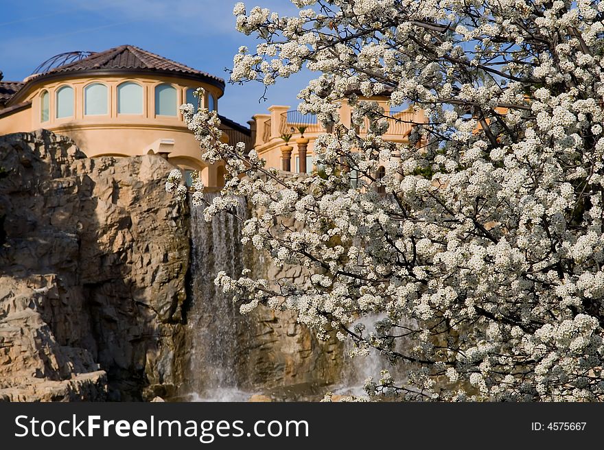 Blooming trees next to a mansion