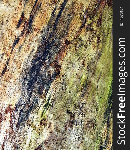 Tree trunk close-up