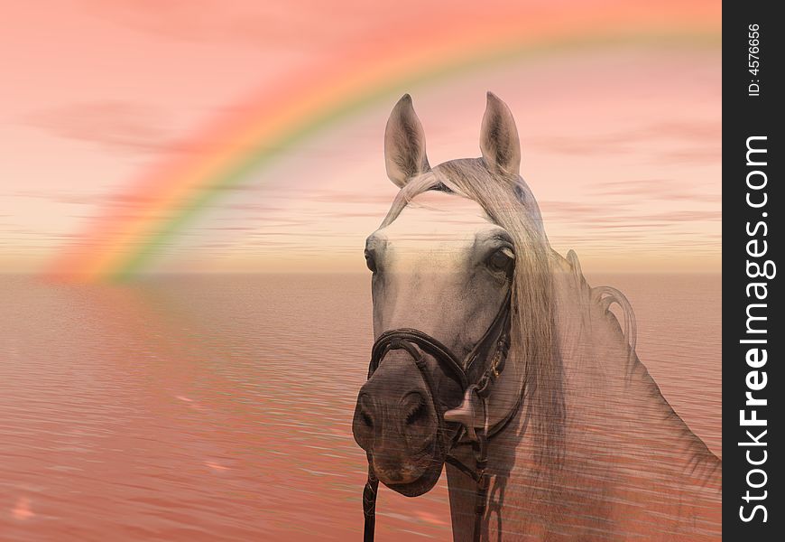 Wonderful horse under a colorful rainbow. Wonderful horse under a colorful rainbow