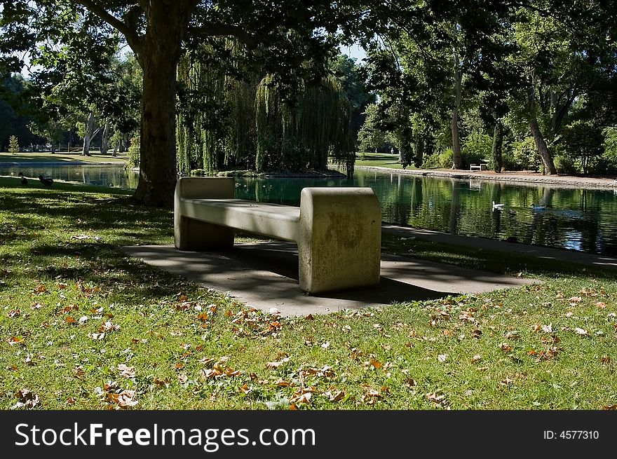 Bench next to a lake. Bench next to a lake