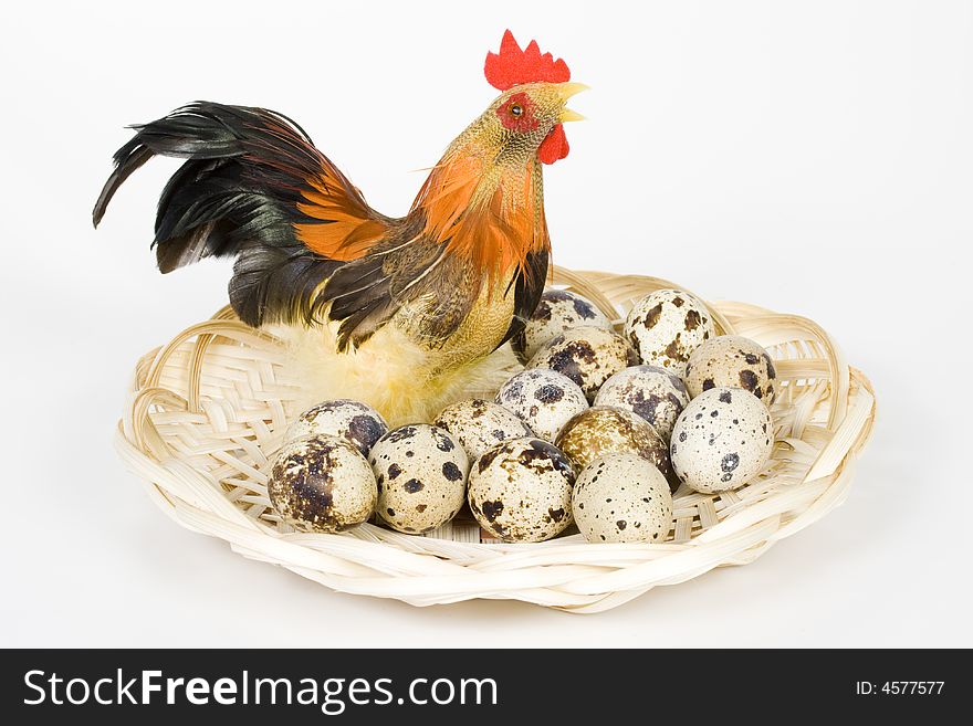 Cock and eggs in a nest on a white background