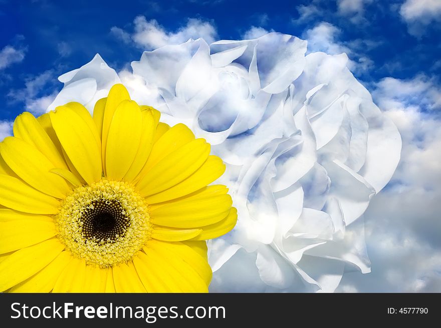 Yellow flower against allegorical clouds