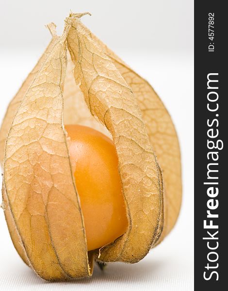 Physalis or chinese lantern fruit macro