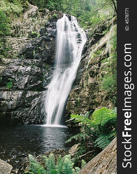 Evercreech Falls North Eastern Tasmania. A short walk off the road.