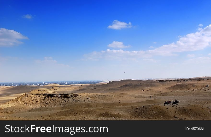 Orange sand on the desert with two camels and the blue sky in egypt. Orange sand on the desert with two camels and the blue sky in egypt