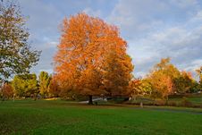 Autumn In A Park Royalty Free Stock Photo Autumn In A Park Royalty Free Stock Photo