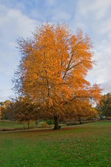 Autumn In A Park Stock Photography Autumn In A Park Stock Photography