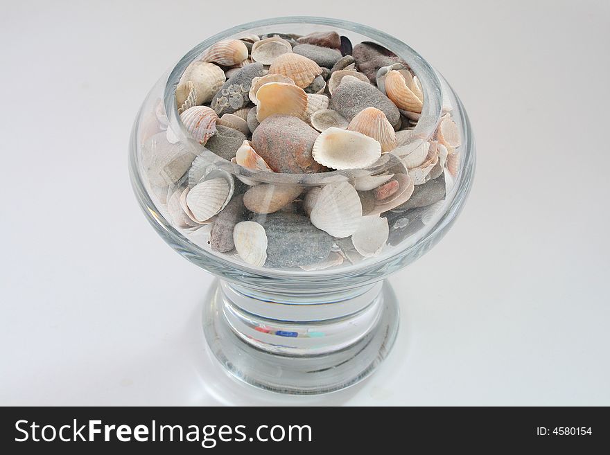 Seashells in vase on white background