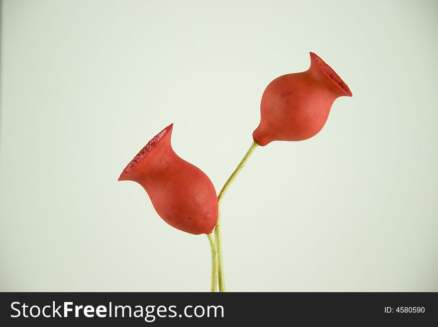 Red dry flowers, home decoration,. Red dry flowers, home decoration,