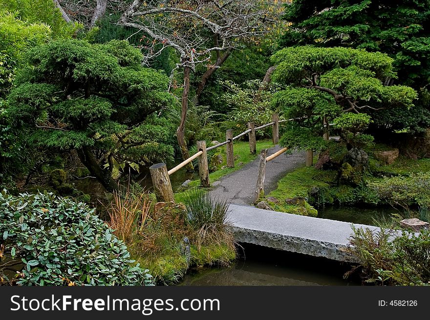 Japanese Garden in San Francisco