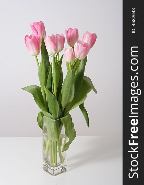 Bouquet pink tulips