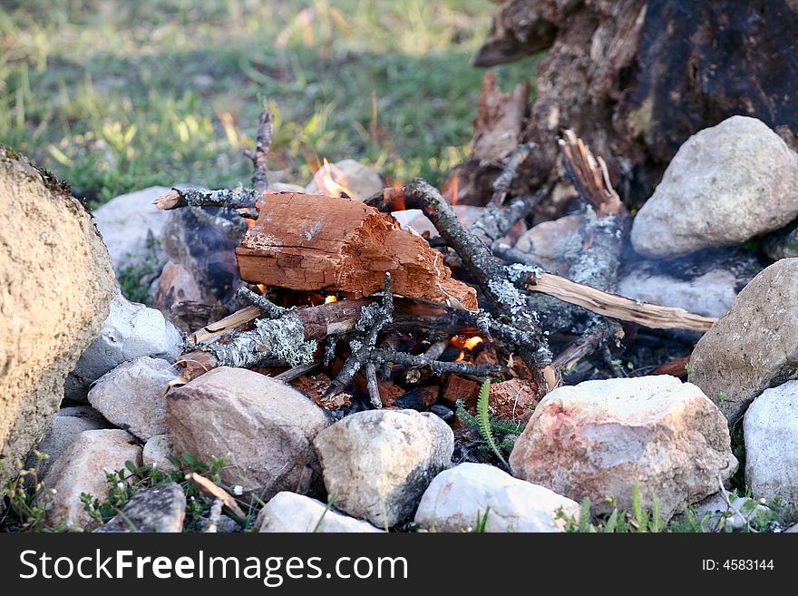 Fire from dry fire wood on the nature