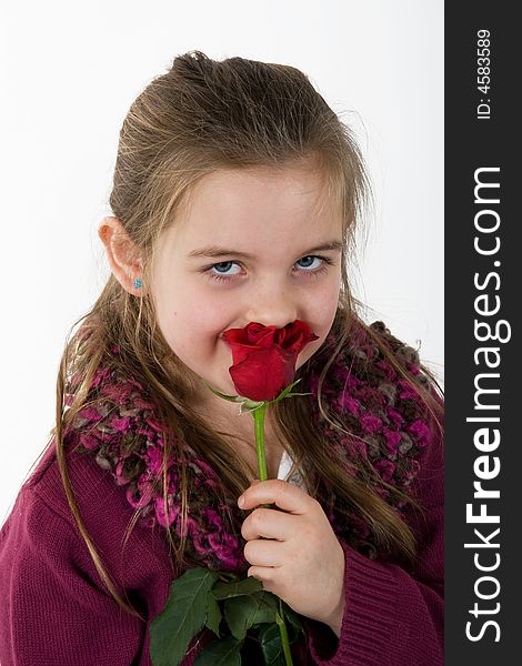 A little girl sniffs a red rose with her eyes raised to the camera. A little girl sniffs a red rose with her eyes raised to the camera