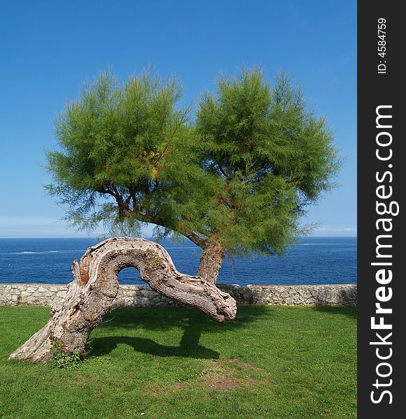 Paseo de San Pedro, Llanes