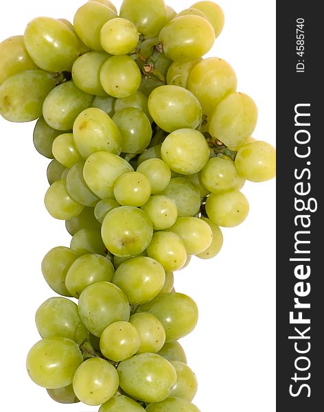 Grape on the white background. Grape on the white background