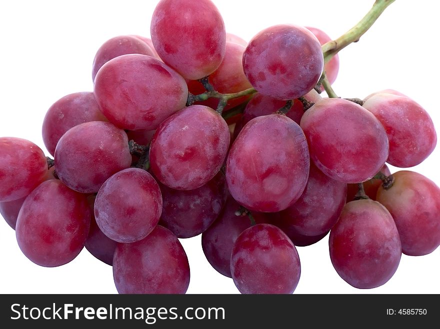 Purple grape on the white background