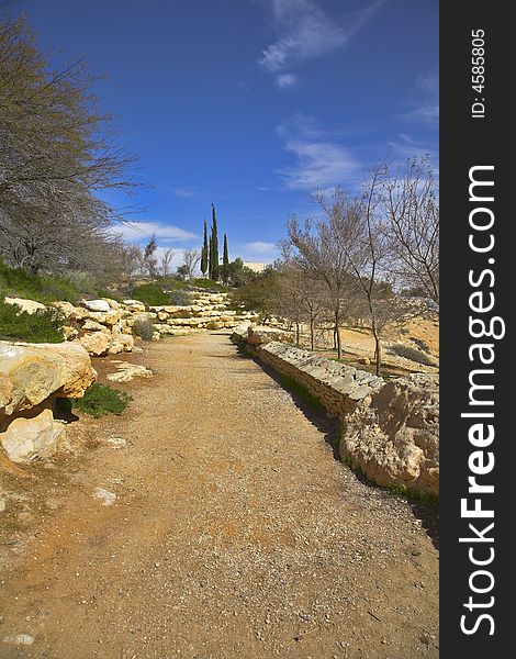 A footpath in an oasis with cypresses about the Dead Sea in Israel. A footpath in an oasis with cypresses about the Dead Sea in Israel.