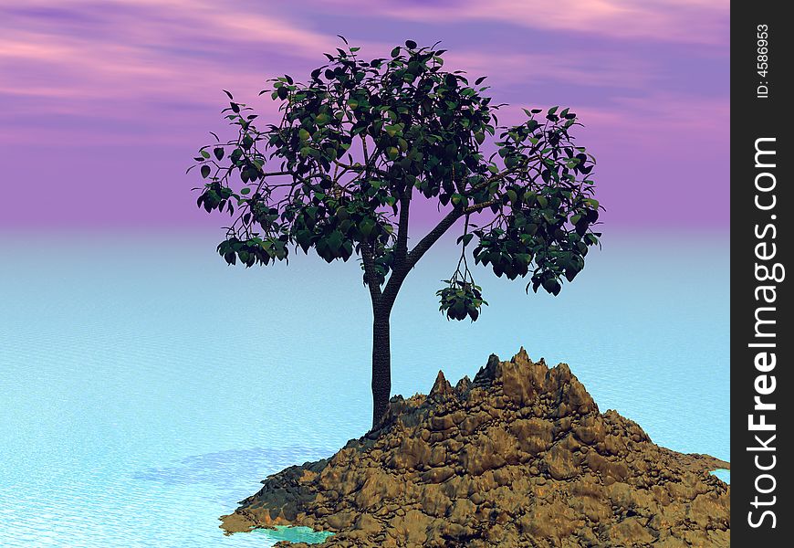 Tree On Island