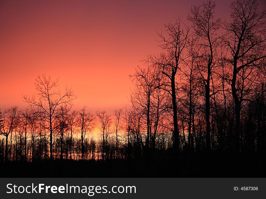 Warm and fiery red sunset behind bare Autumn trees. Warm and fiery red sunset behind bare Autumn trees