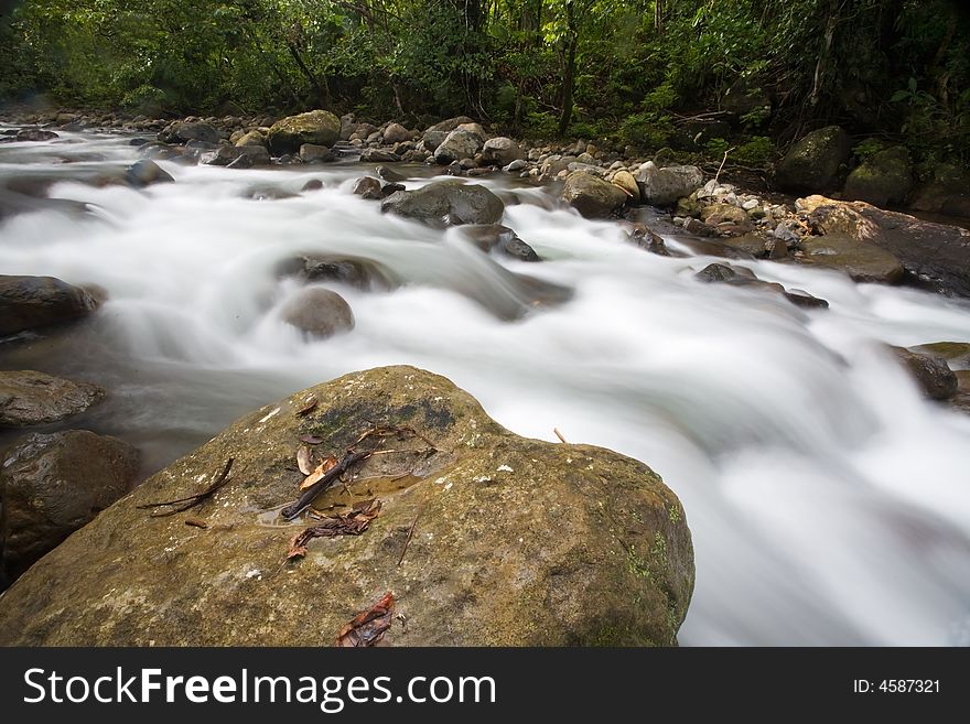 Rushing creek in the rainforest of tropical island. Rushing creek in the rainforest of tropical island