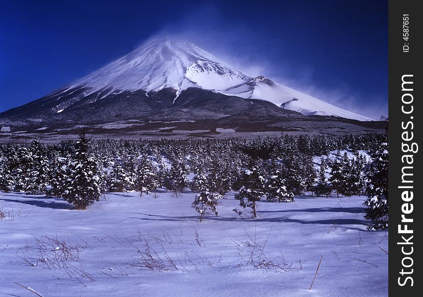 Fanned by the sudden gusts of wind at Mt,fuji. Fanned by the sudden gusts of wind at Mt,fuji