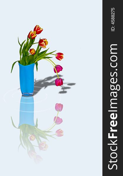 The image of a bouquet of tulips in a vase and its shadow. The image of a bouquet of tulips in a vase and its shadow