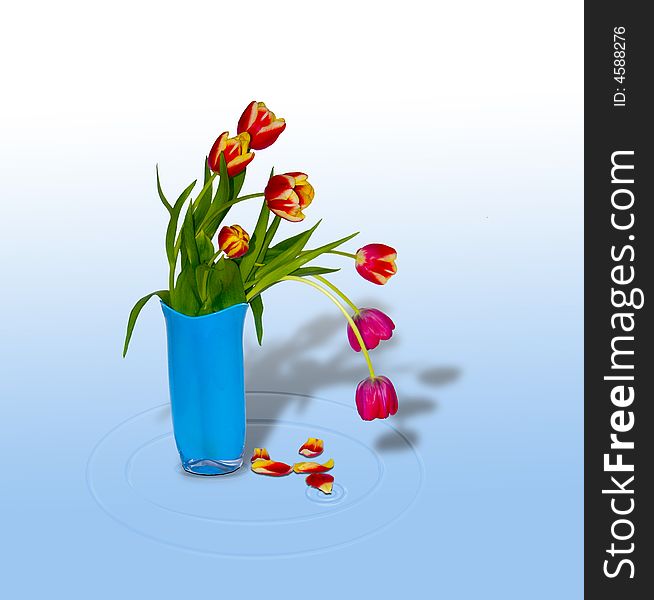 The image of a bouquet of tulips in a vase and its shadow. The image of a bouquet of tulips in a vase and its shadow