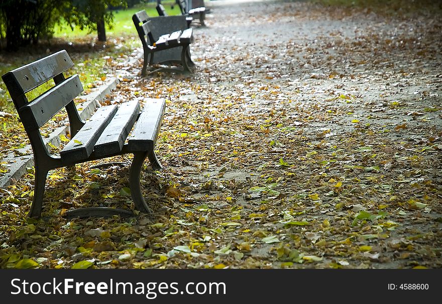 Park in autumm with benches. Park in autumm with benches