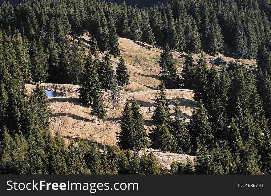 The glade is situated on Crow mountain (1856 m) in Southern Carpathians. The glade is situated on Crow mountain (1856 m) in Southern Carpathians.