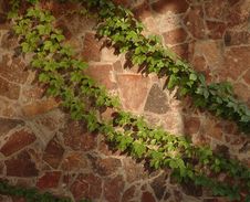 Stone Wall Royalty Free Stock Photography Stone Wall Royalty Free Stock Photography