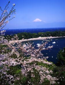 Mt Fuji-381 Royalty Free Stock Photography Mt Fuji-381 Royalty Free Stock Photography