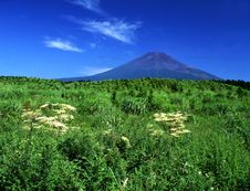 Mt Fuji-319 Royalty Free Stock Photo Mt Fuji-319 Royalty Free Stock Photo