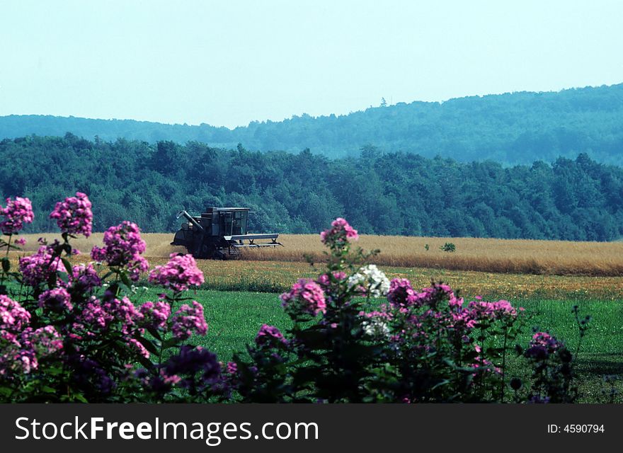Harvestingthe Fields