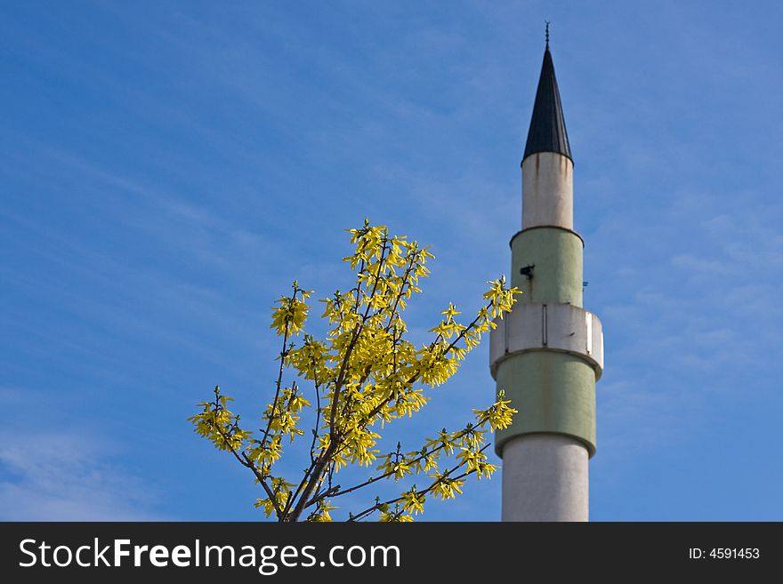 Yellow flower and the mosque under the blue sky. Yellow flower and the mosque under the blue sky