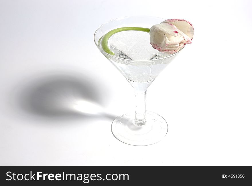 White Tulip in a triangular glass. White Tulip in a triangular glass