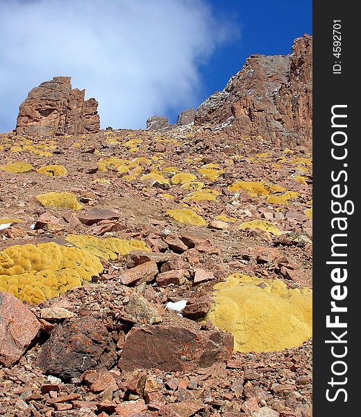 Yellow moss and stones on high mountain slope