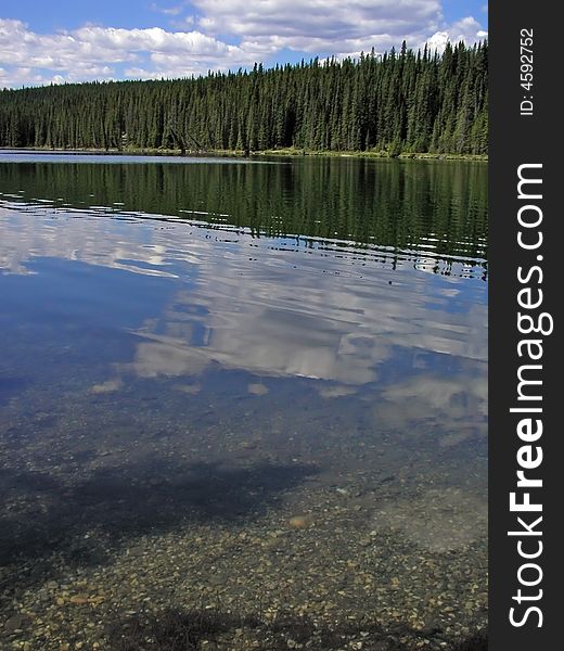 Pine lined lake reflects the clouds and blue sky. Pine lined lake reflects the clouds and blue sky
