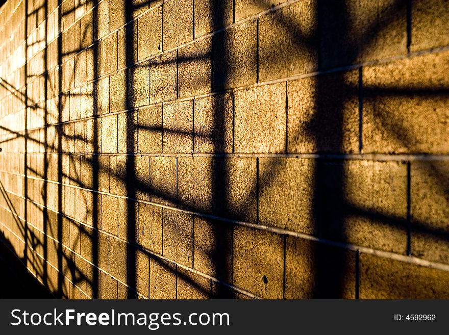 Frame Shadows On Wall
