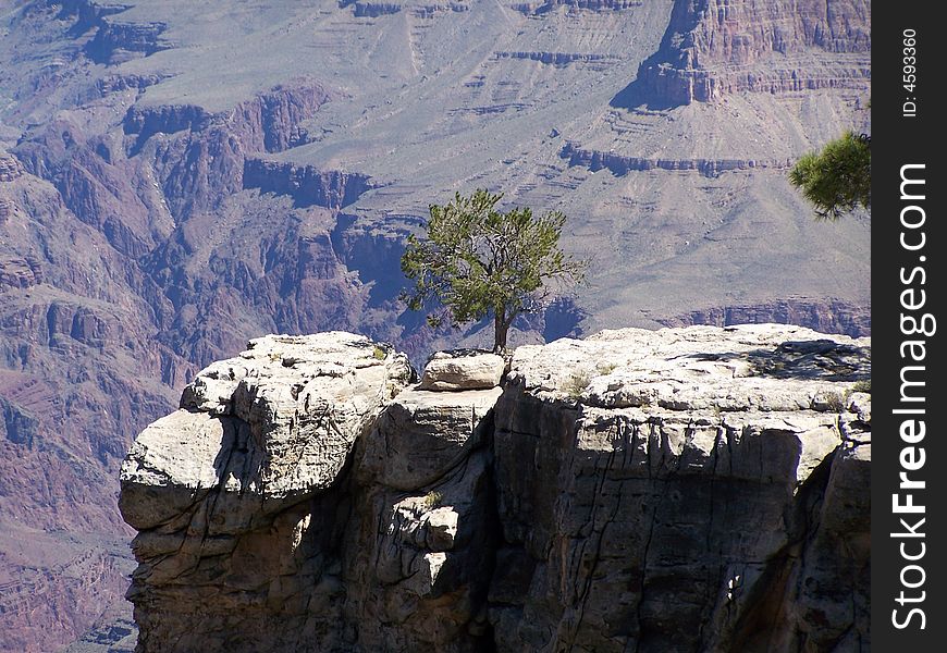 Grand Canyon National Park. Arizona.