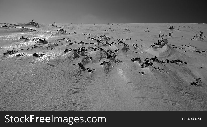 Monochrome landscape of snow plain with clear sky and sun reflections on snow. Monochrome landscape of snow plain with clear sky and sun reflections on snow.