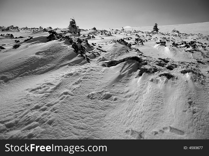 Monochrome landscape of snow plain with clear sky and sun reflections on snow. Monochrome landscape of snow plain with clear sky and sun reflections on snow.