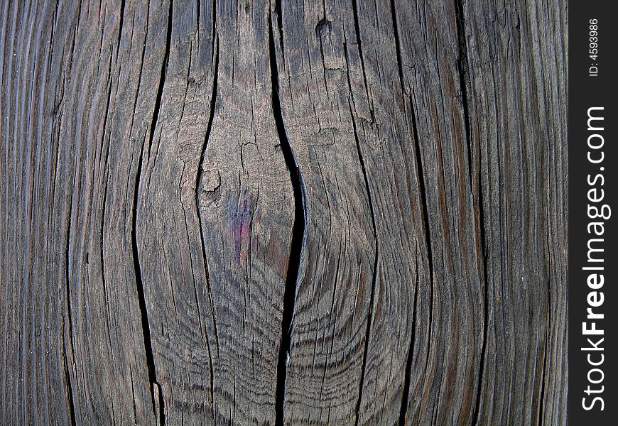 Texture of the old wood. Texture of the old wood