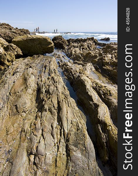 Vertical image of tidepools and the ocean