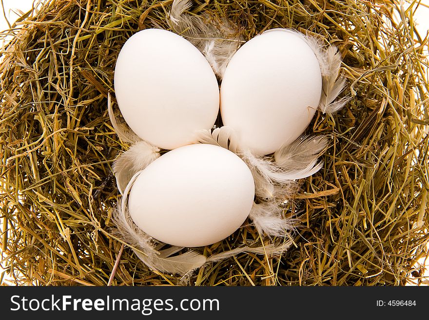 Three chicken white eggs and feathers in a nest from a dry grass close up