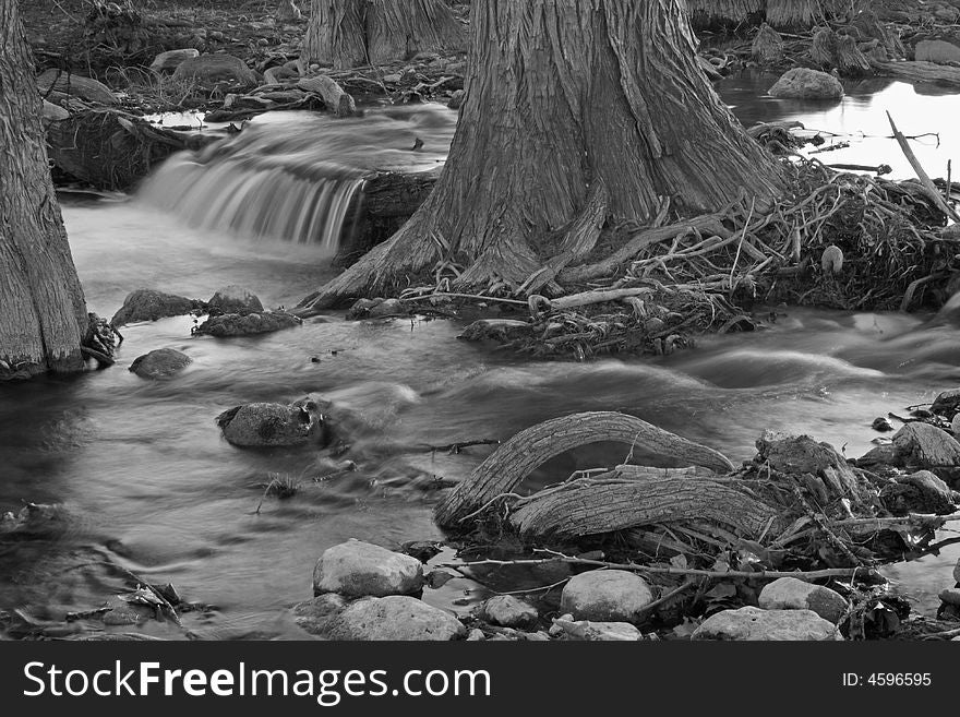 A small creek and the surround trees and root system, slow exposure black and white photography. A small creek and the surround trees and root system, slow exposure black and white photography