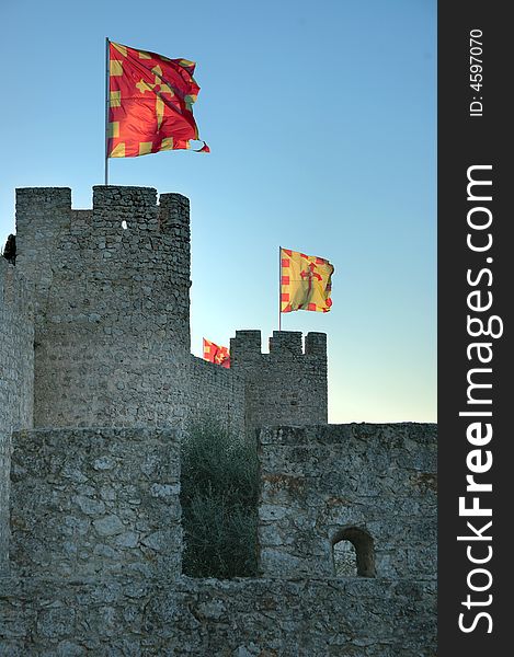The flags flutter on the tower castle. The flags flutter on the tower castle