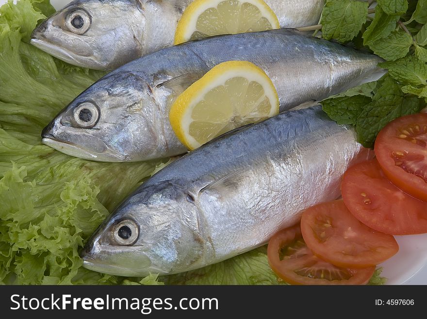 Fish are a popular food and very healthy. Fish are a popular food and very healthy